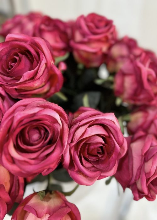 BeaTricia Modeagentur Blumen